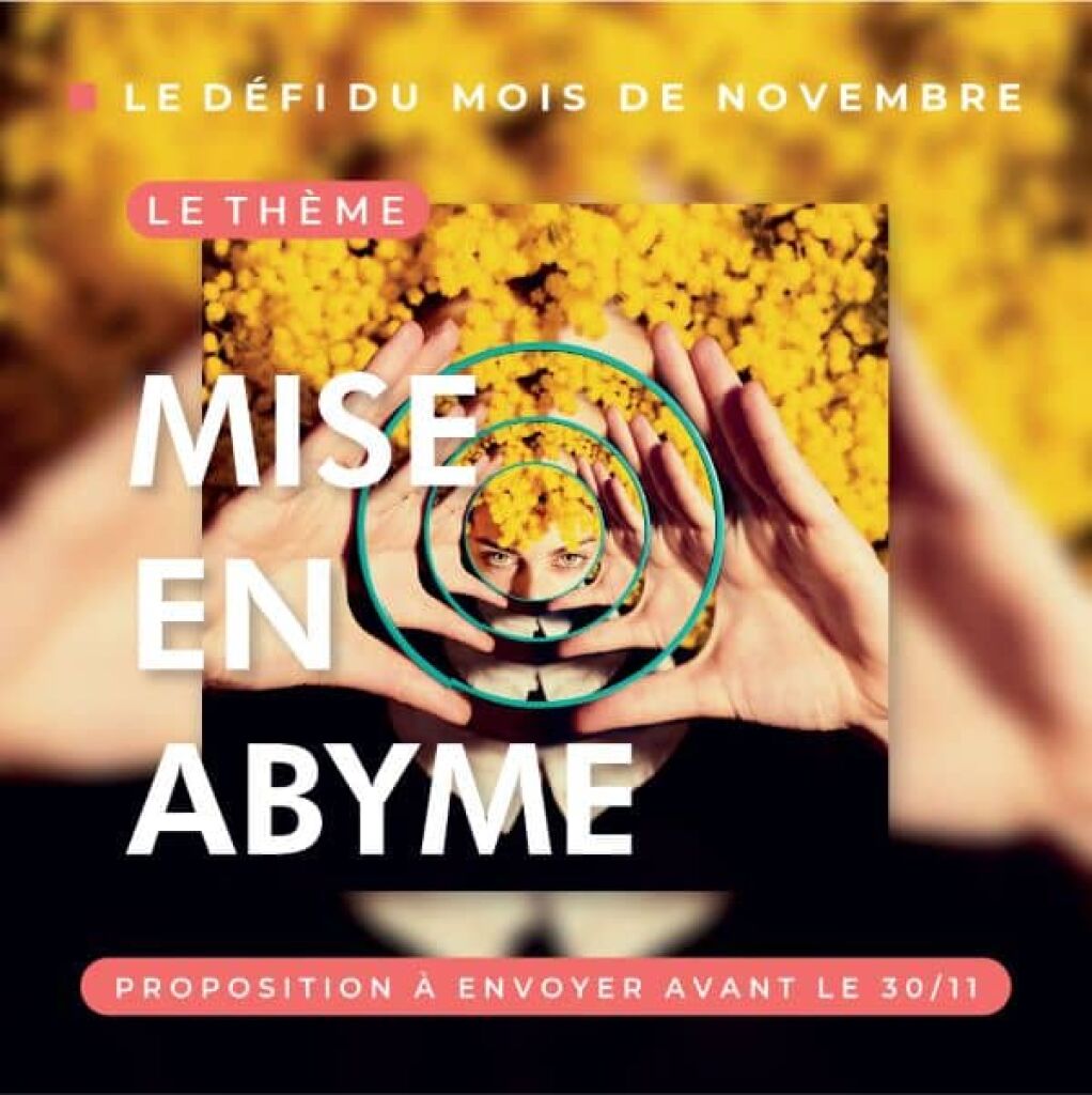 dfi photo de novembre: mise en abyme